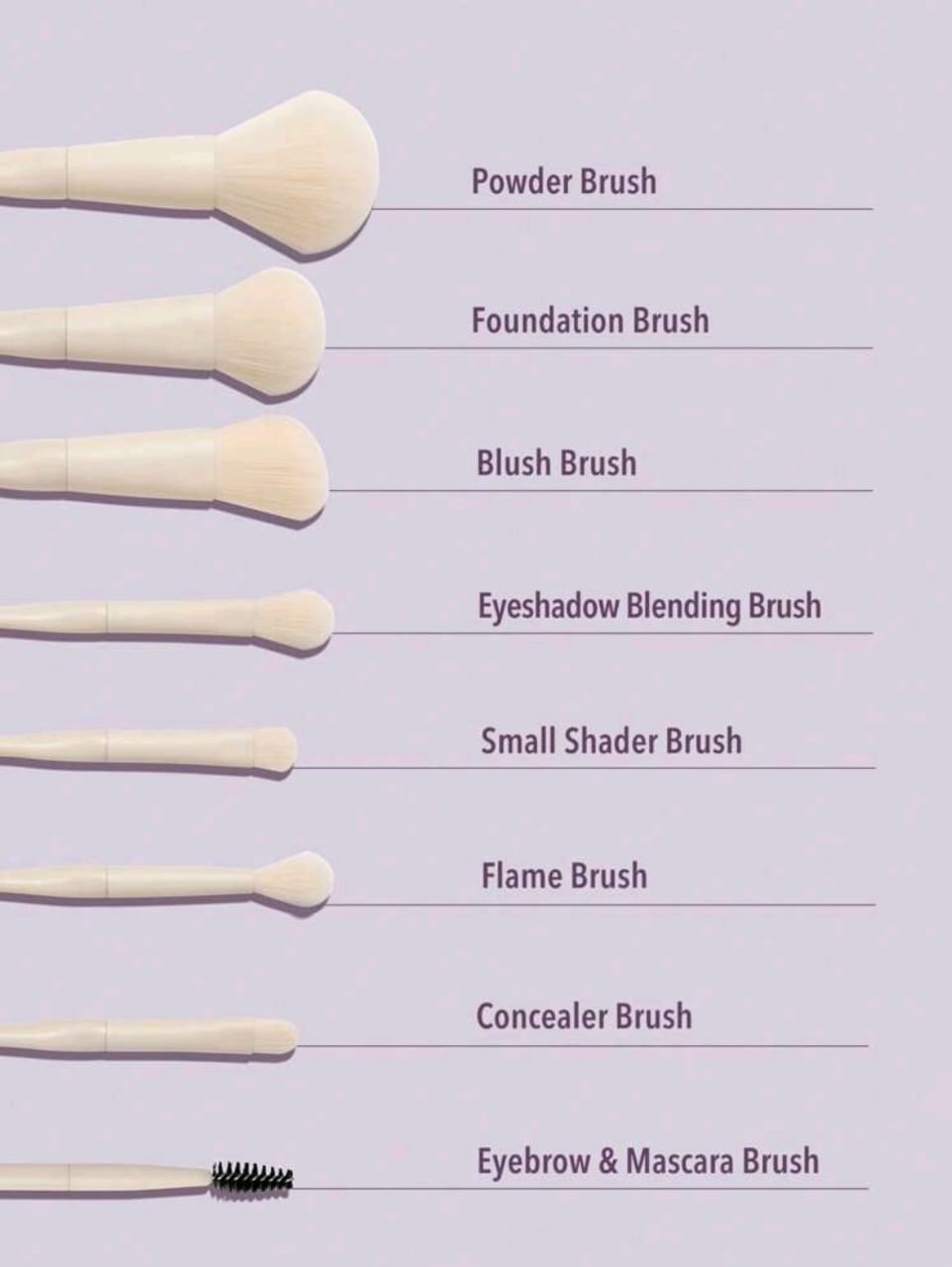 SHEGLAM Pro Core Brush Kit 8 Pcs/Set Professional Makeup Brushes Soft Brush Set