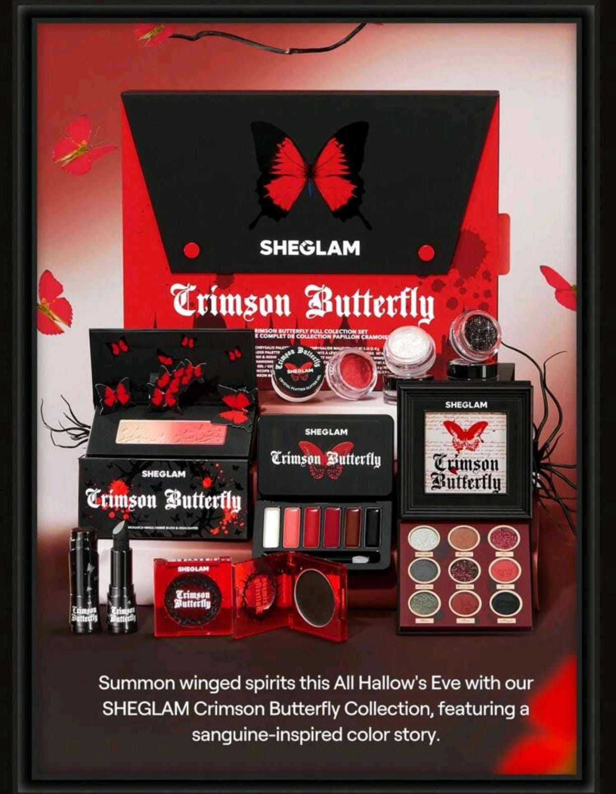 SHEGLAM Monarch Wings Ombré Blush & Highlighter Powder Blush Powder Soft