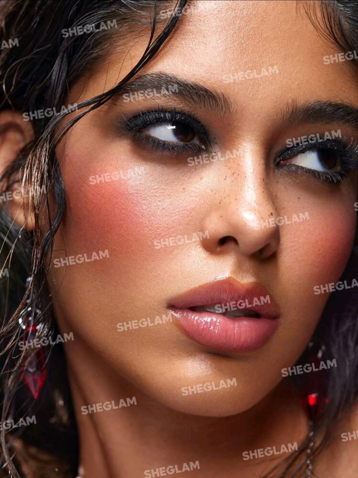 SHEGLAM Monarch Wings Ombré Blush & Highlighter Powder Blush Powder Soft